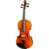 Bieg W Guarneri Model Professional Violin with Case