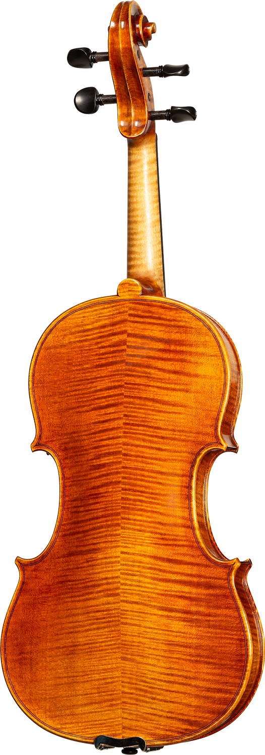 Bieg WSP Guarneri Model Professional Violin with Case
