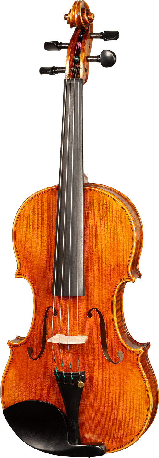 Bieg WSP Guarneri Model Professional Violin with Case