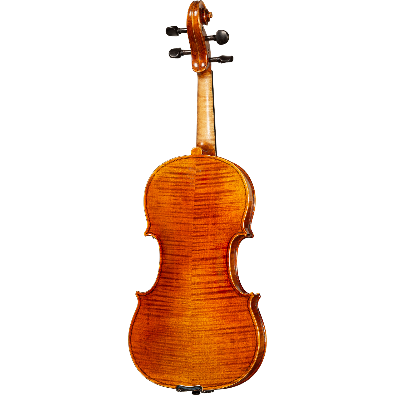 Bieg W Guarneri Model Professional Violin with Case