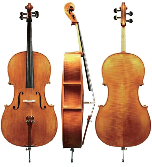 Boehme Gewa Professional Cello with Bag String Power - Violin Shop