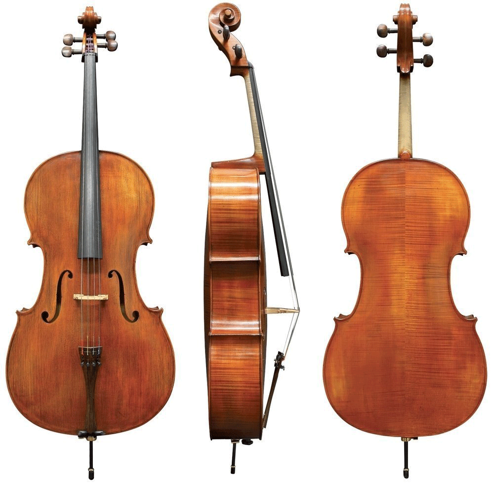 Boehme Gewa Professional Cello with Bag String Power - Violin Shop