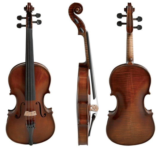 Boehme Gewa Professional Violin with Case String Power - Violin Shop