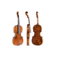 Boehme Gewa Professional Violin with Case