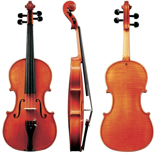 Boehme Gewa Professional Violin with Case String Power - Violin Shop