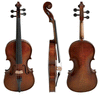 Boehme Gewa Professional Violin with Case