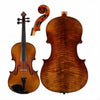 C20 Core Conservatory Intermediate Viola with Case