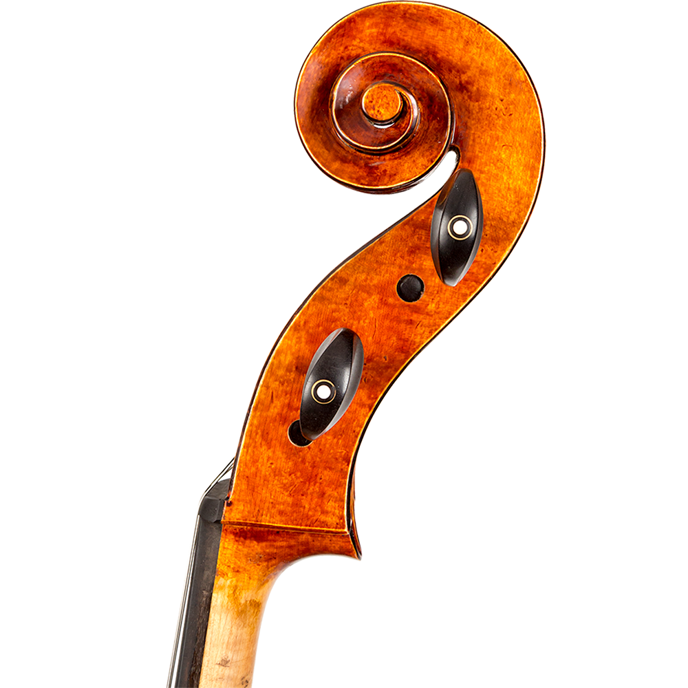 C30 Core Conservatory Cello intermediate with Bag-Cello-String Power
