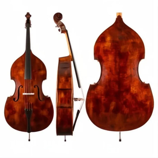 C40 Core Conservatory Advanced Bass with Bag