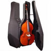 CC4200B Core Wood Shell Bass Case