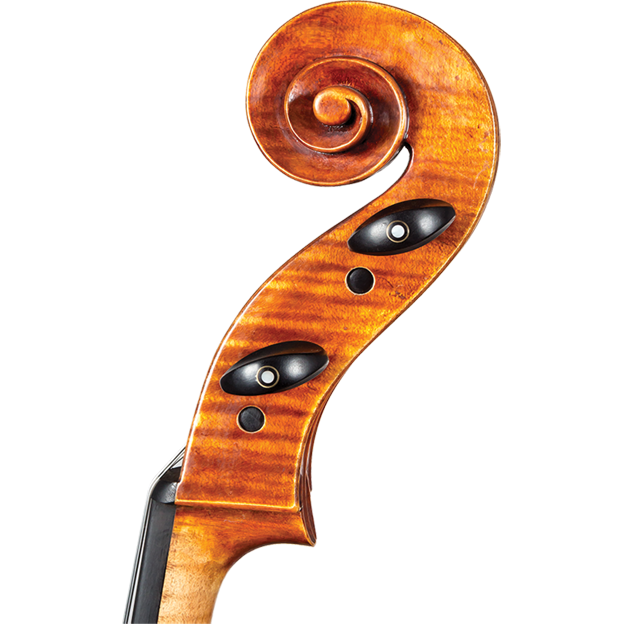 CS10000 Strad Core Select Professional Cello with Bag-Cello-String Power