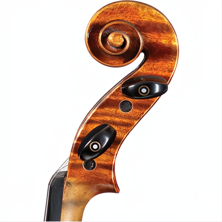 CS1350 Core Select Advanced Violin with Case