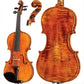 CS1350 Core Select Advanced Violin with Case
