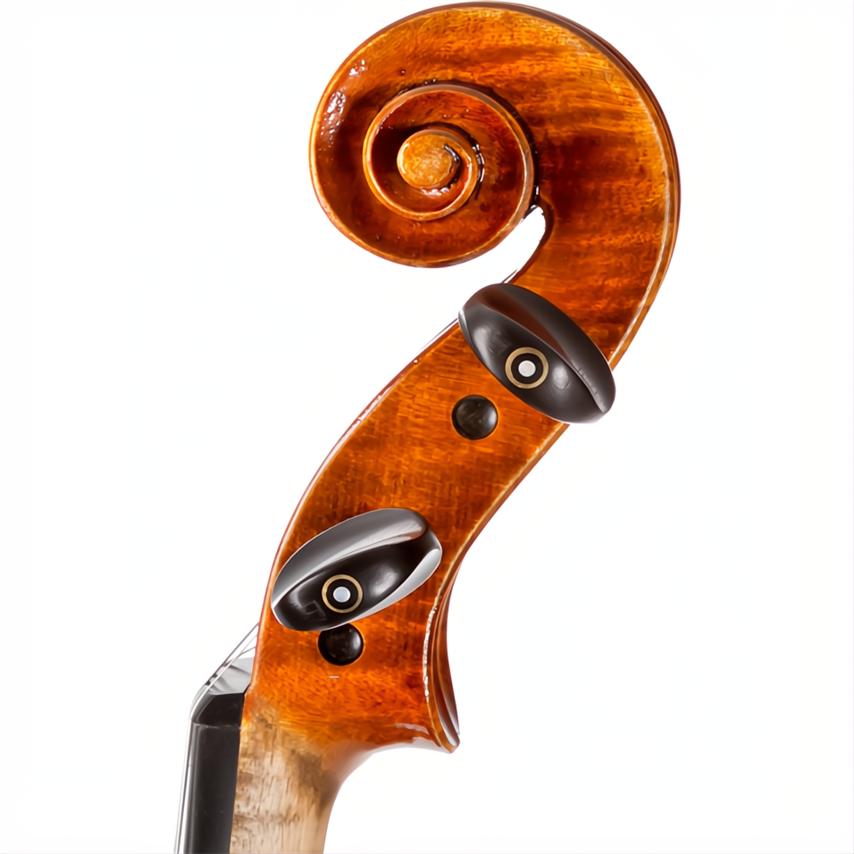 CS2350 Core Select Advanced Violin with Case