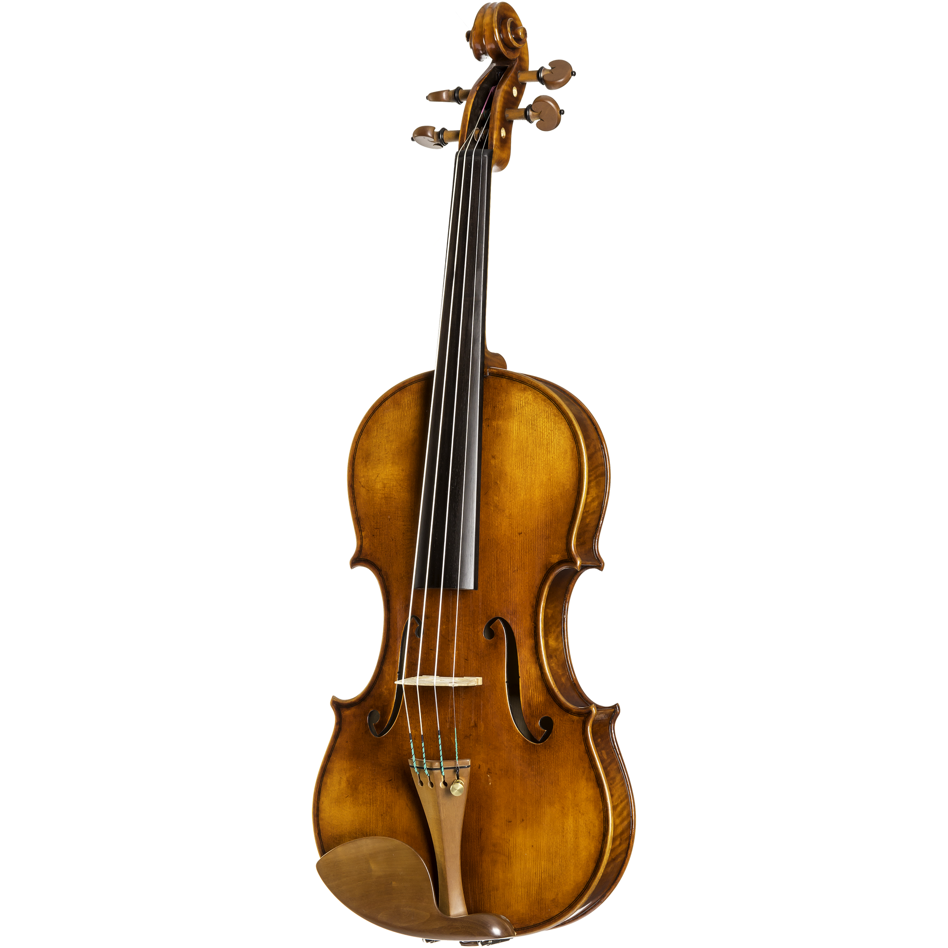 CS2900 Core Select Professional Violin with Case