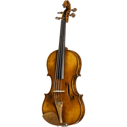 CS2900 Core Select Professional Violin with Case
