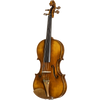 CS2900 Core Select Professional Violin with Case