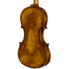 CS2900 Core Select Professional Violin with Case