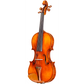 CS2900 Core Select Professional Violin with Case