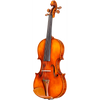 CS2900 Core Select Professional Violin with Case