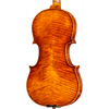 CS2900 Core Select Professional Violin with Case