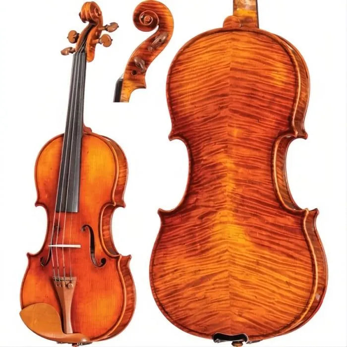 CS2900 Core Select Professional Violin with Case