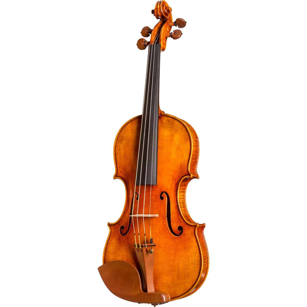 CS5500 Core Select Professional Violin with Case-Violin-String Power