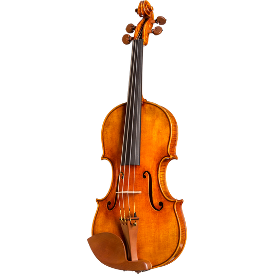 CS5500 Core Select Professional Violin with Case-Violin-String Power