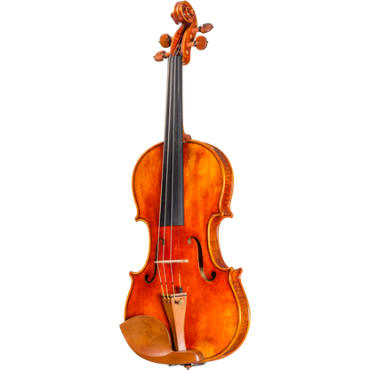 CS5500 Core Select Professional Violin with Case-Violin-String Power