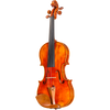 CS5500 Core Select Professional Violin with Case-Violin-String Power
