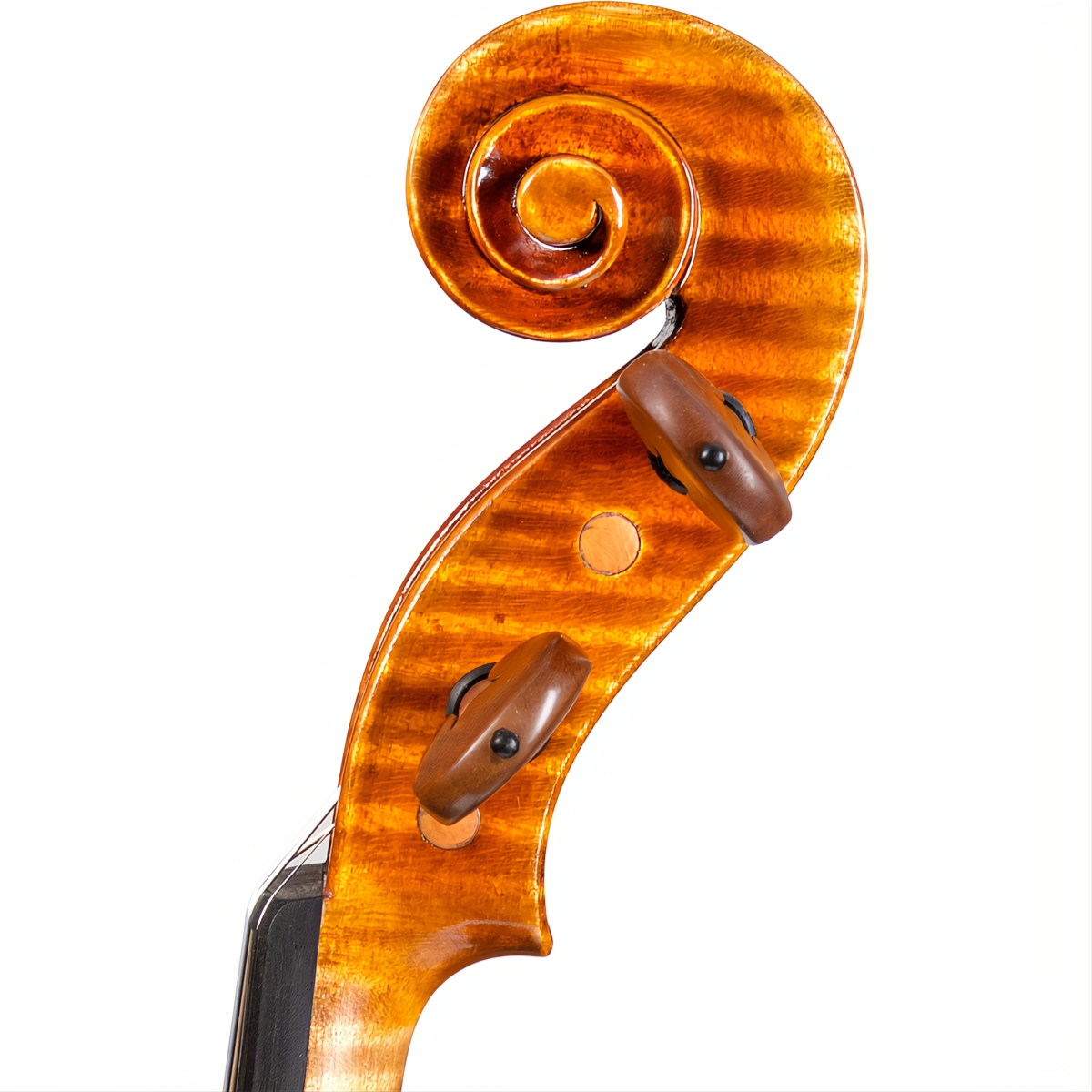 CS5500 Core Select Professional Violin with Case-Violin-String Power