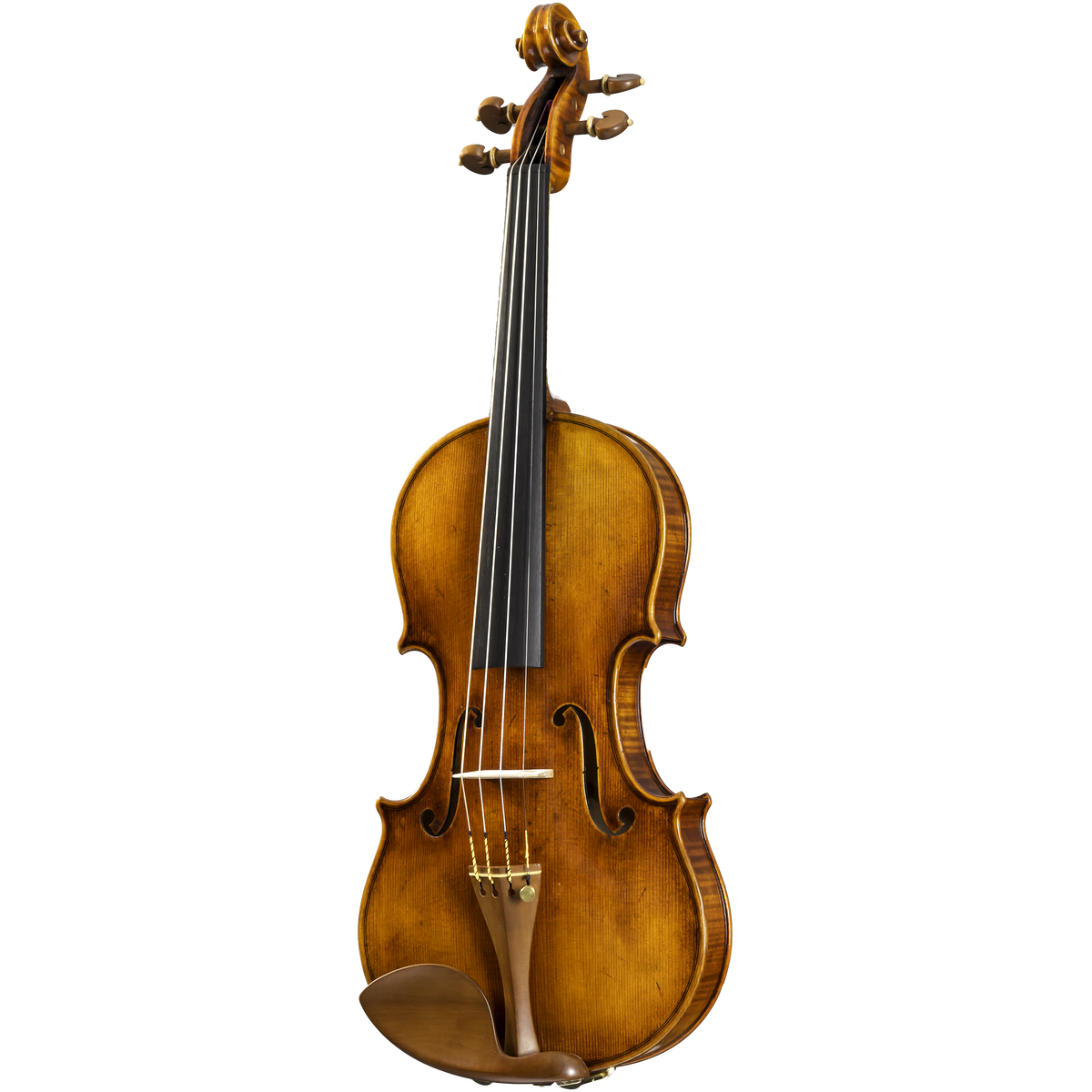 CS5900 Core Select Professional Violin with Case-Violin-String Power
