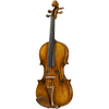 CS5900 Core Select Professional Violin with Case-Violin-String Power