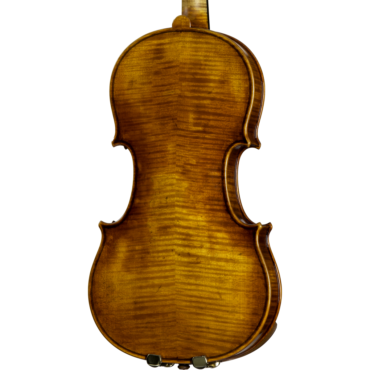 CS5900 Core Select Professional Violin with Case-Violin-String Power