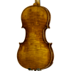 CS5900 Core Select Professional Violin with Case-Violin-String Power