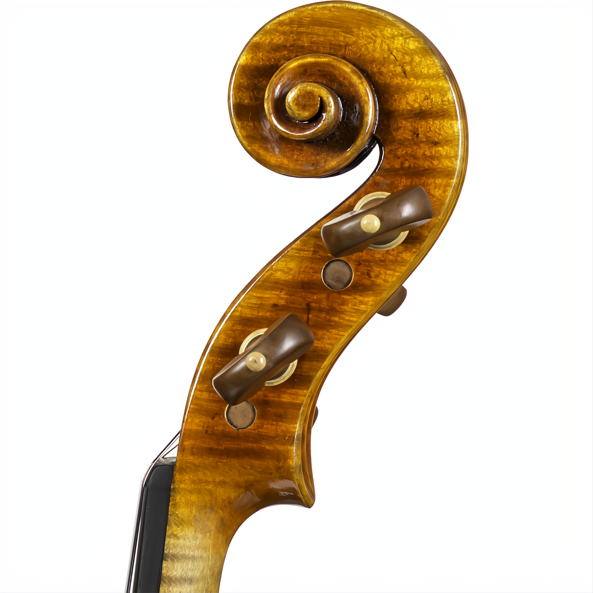 CS5900 Core Select Professional Violin with Case-Violin-String Power