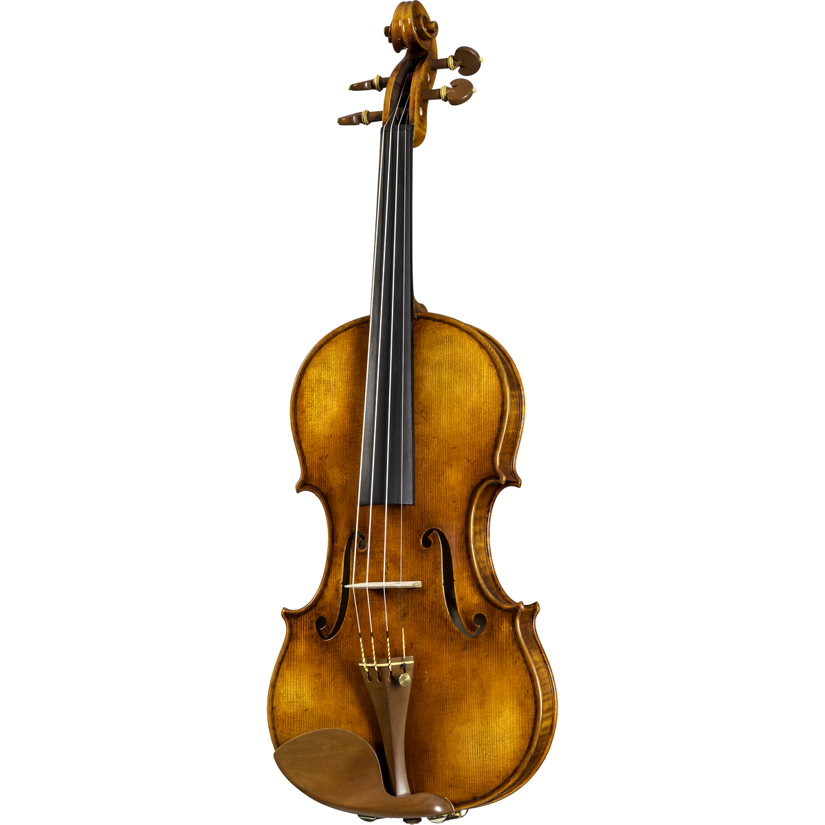 CS5900 Core Select Professional Violin with Case-Violin-String Power
