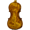 CS5900 Core Select Professional Violin with Case-Violin-String Power