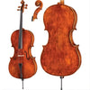 DR10 Dragon Howard Core Advanced Cello with Bag