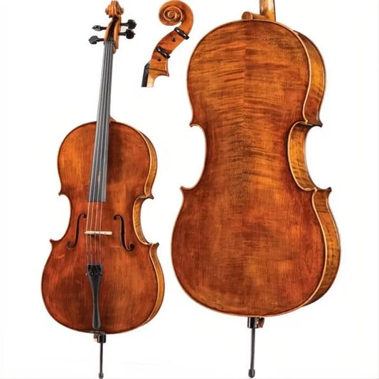 DR30 Dragon Howard Core Advanced Cello with Bag