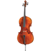 Davidov Core Select Advanced Cello with Bag-Cello-String Power
