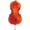 Davidov Core Select Advanced Cello with Bag-Cello-String Power