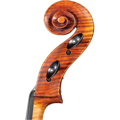 Davidov Core Select Advanced Cello with Bag-Cello-String Power