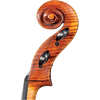 Davidov Core Select Advanced Cello with Bag-Cello-String Power