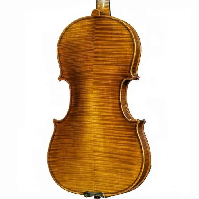 Delange Aubert Lutherie Professional Violin with Case