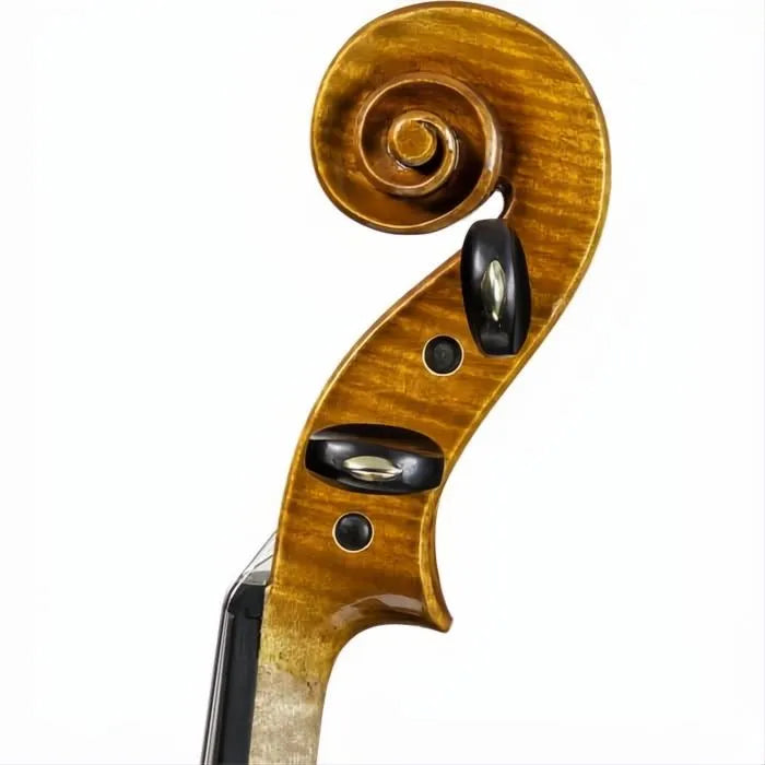 Delange Aubert Lutherie Professional Violin with Case