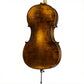 FS500A Franz Sandner Professional Cello with Bag