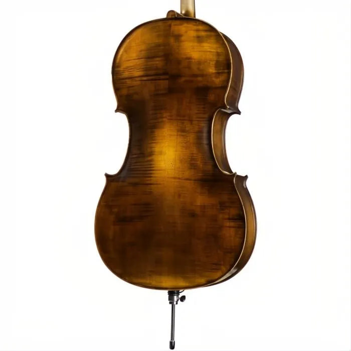 FS500A Franz Sandner Professional Cello with Bag