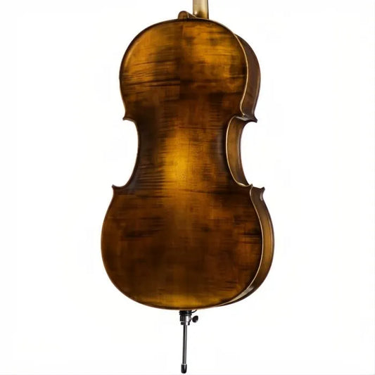 FS500A Franz Sandner Professional Cello with Bag