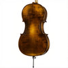 FS500A Franz Sandner Professional Cello with Bag